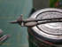 cominciamo bene.... ricostruiamo l'aletta del AIM-9 Sidewinder rotta...